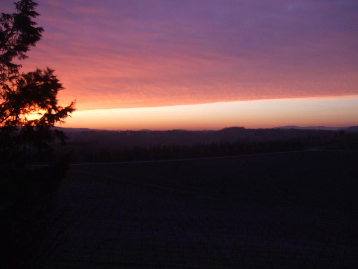 Agriturismo Il Torrione Certaldo Cameră foto